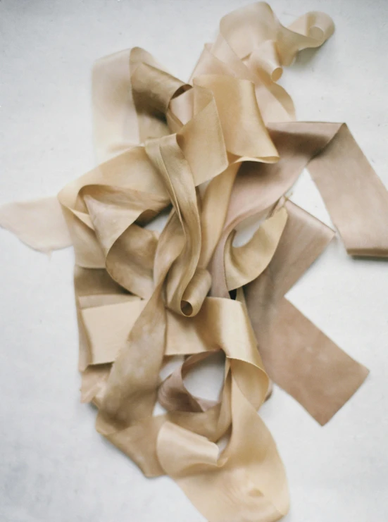 brown pieces of ribbon on white surface with brown strips