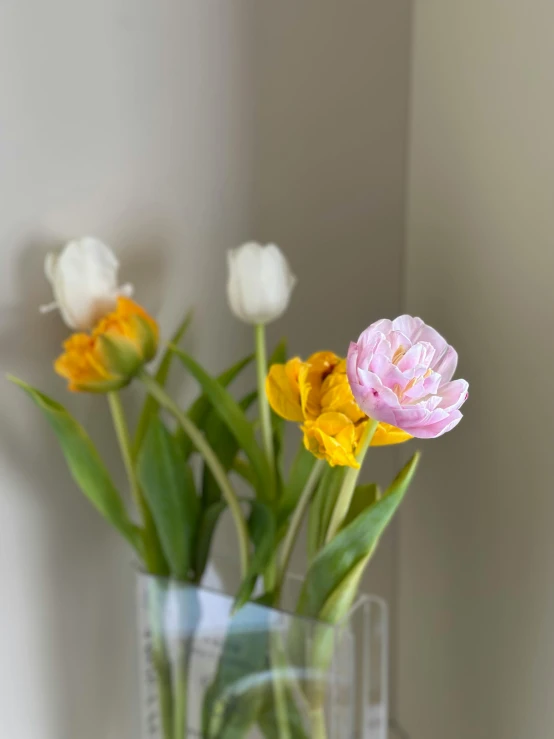 four different types of flowers in a vase