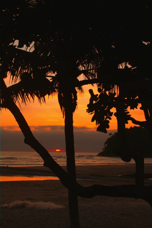 the sunset and beach can be seen through trees