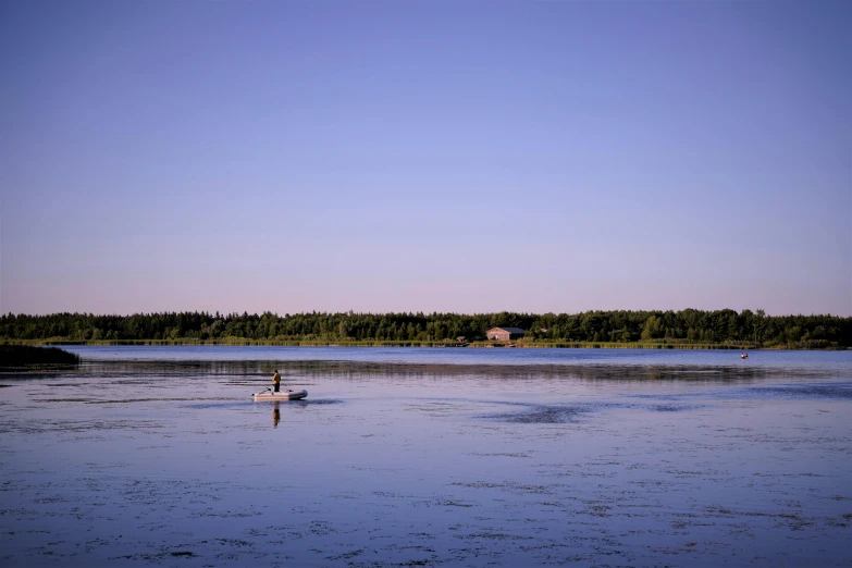 a bird is standing in the shallow water