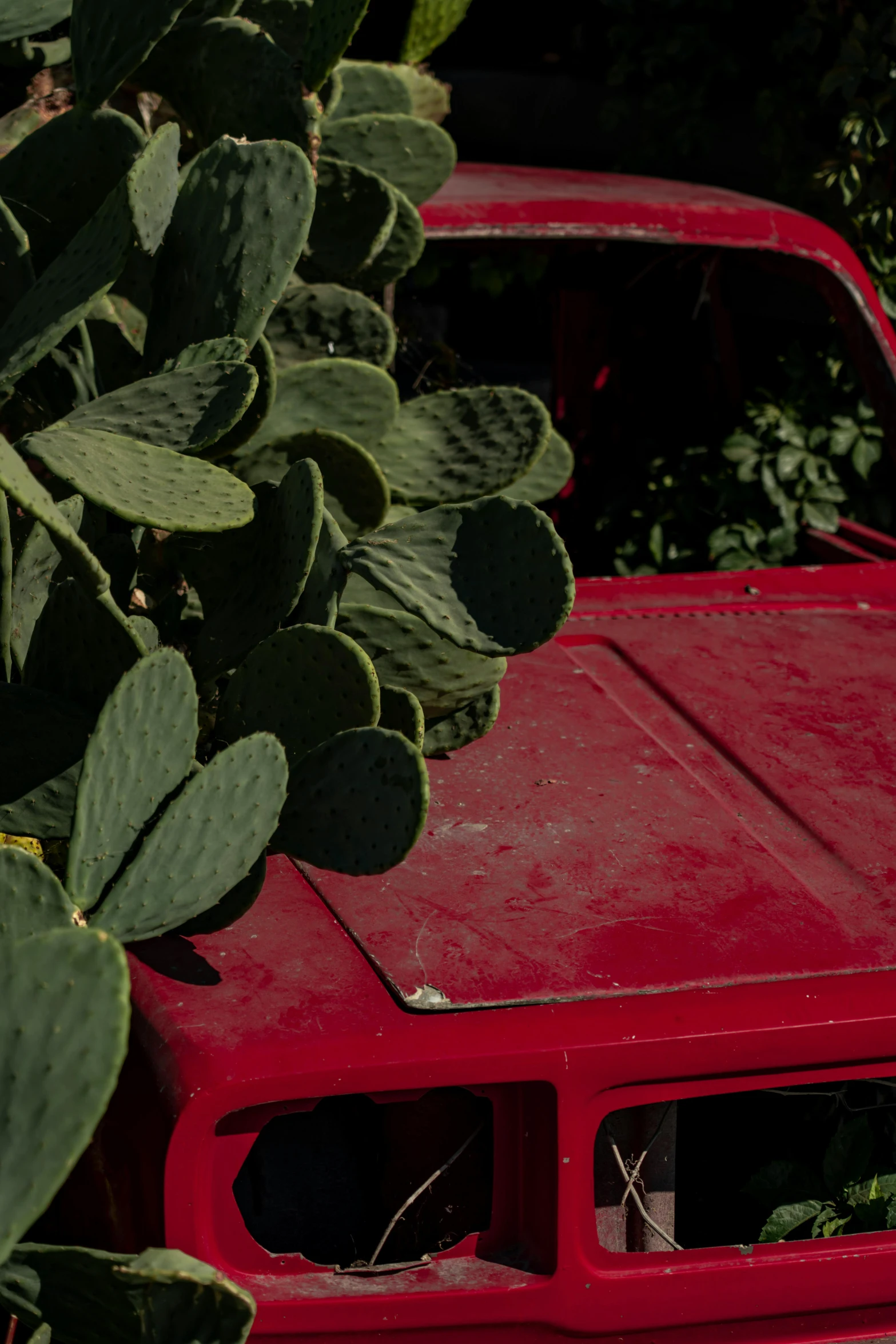 the front bumper and grille of an abandoned red truck