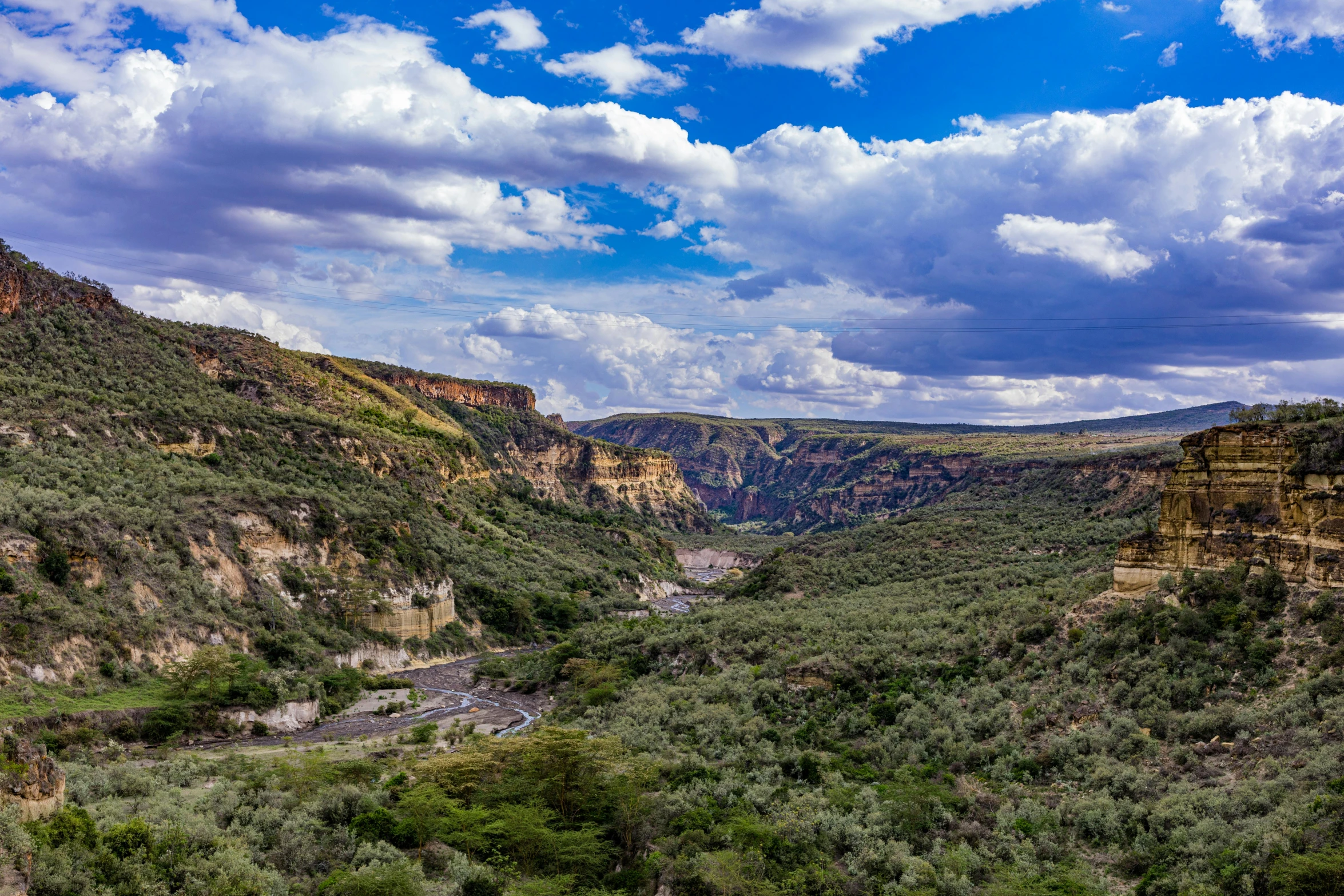 a canyon with lots of water and green trees