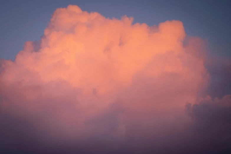 a bird standing in the sky above an orange cloud