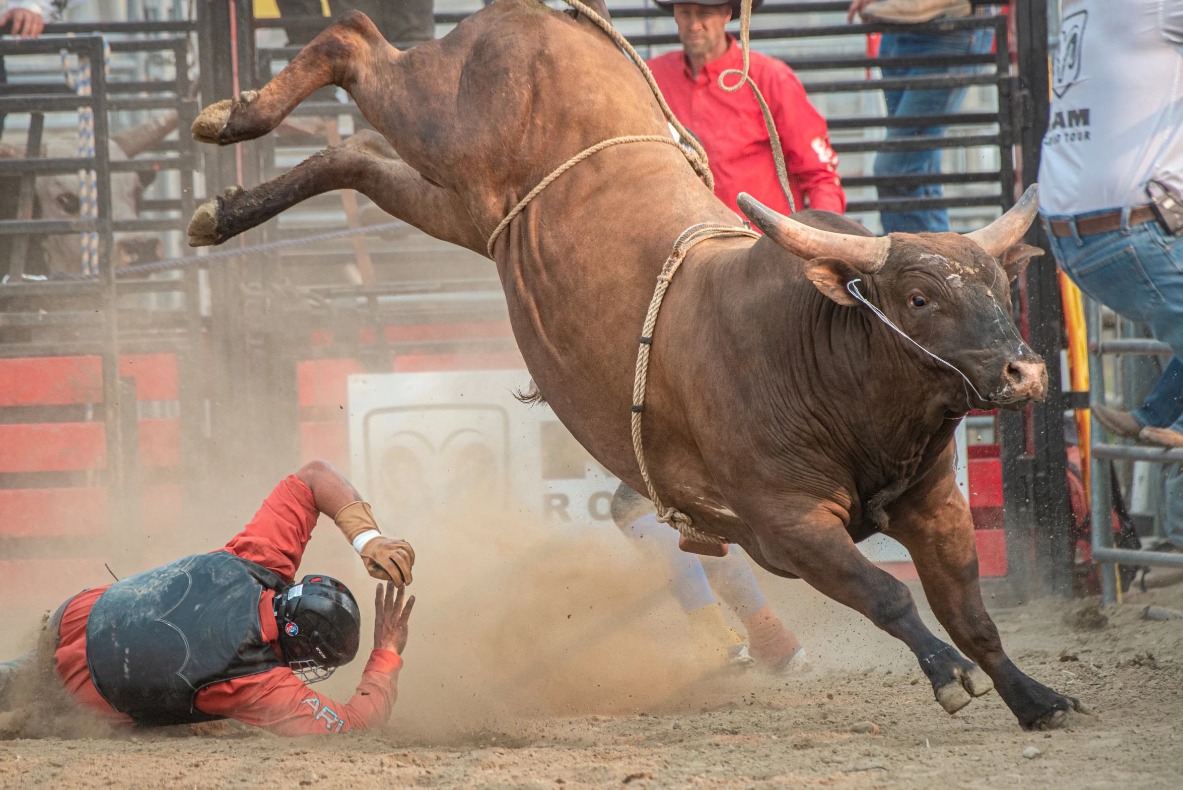 a cowboy riding a bull in a rodeo arena