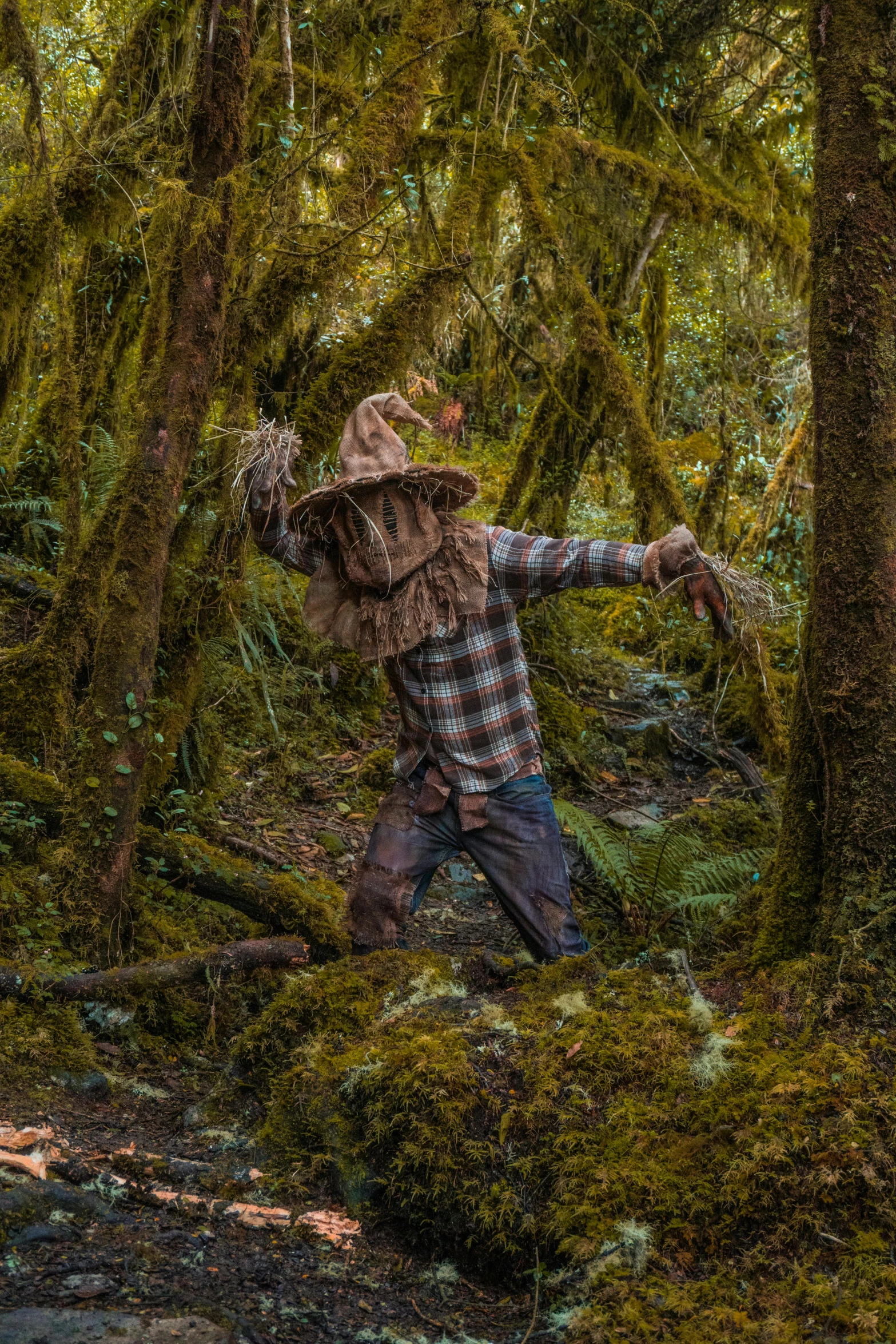 an image of a man in the woods with a gun