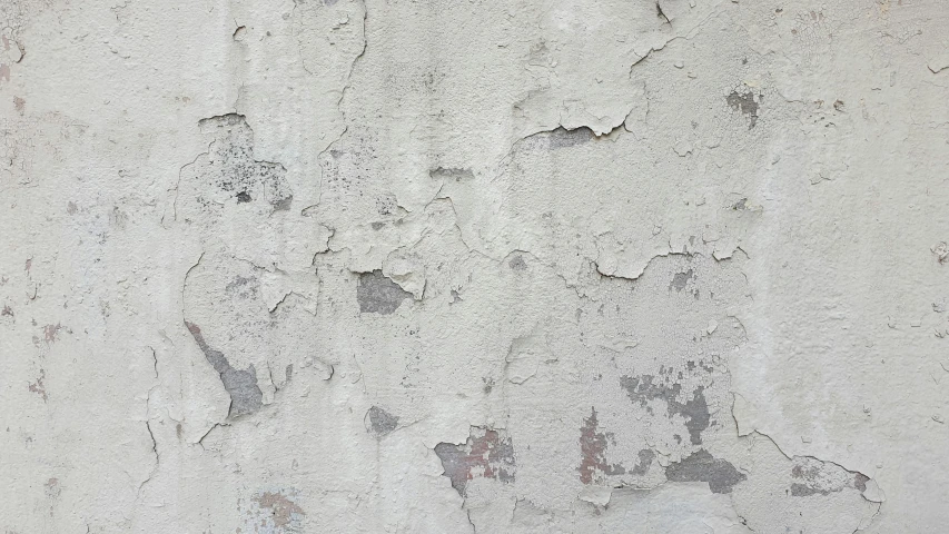 a bird standing next to some concrete walls