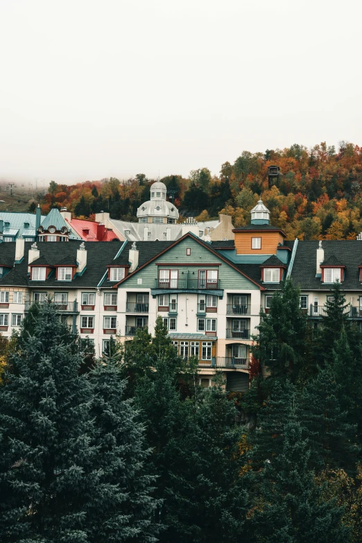 a row of buildings in front of trees and a mountain