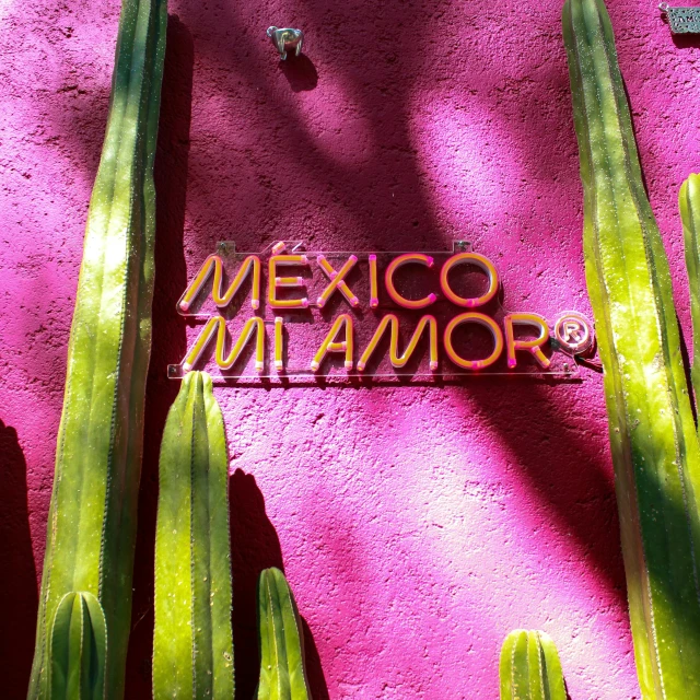 a sign saying mexico on a pink wall with green cactus