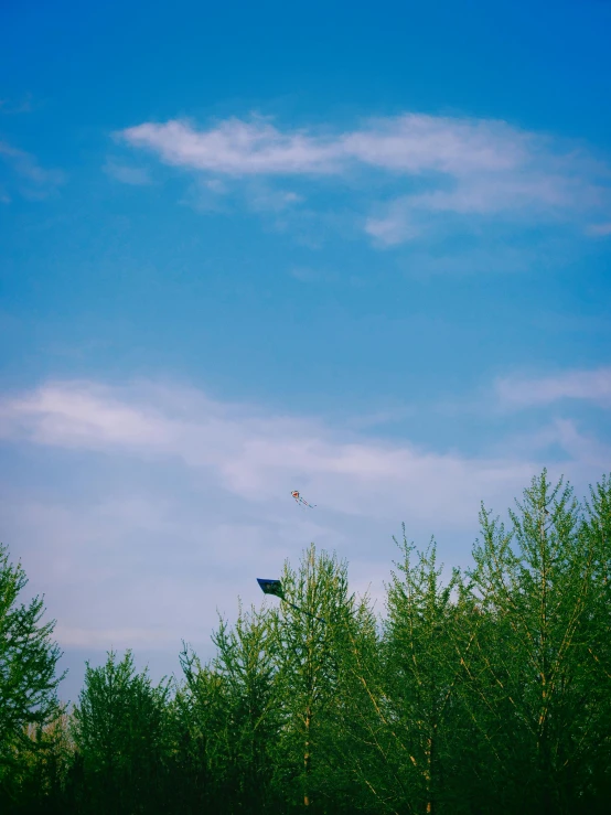 a person flying a kite high in the blue sky