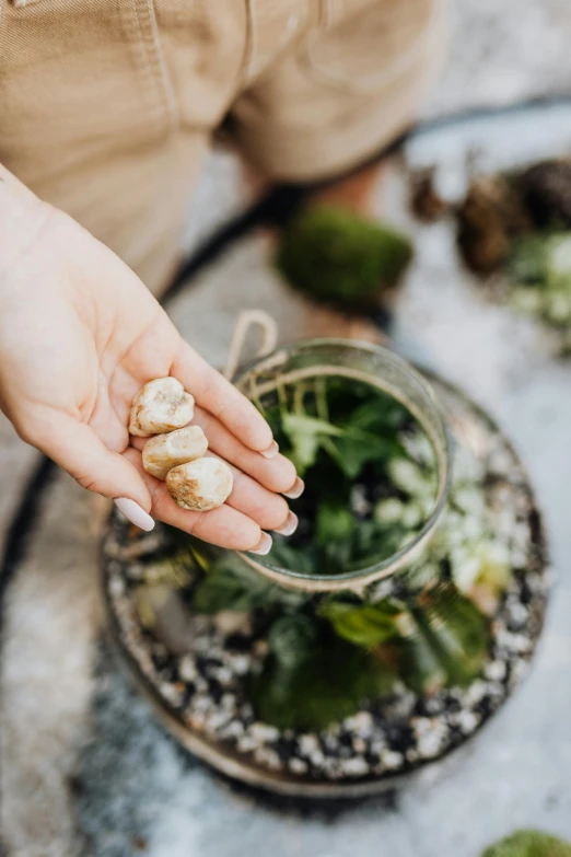 person's hand holding out small food item over glass container