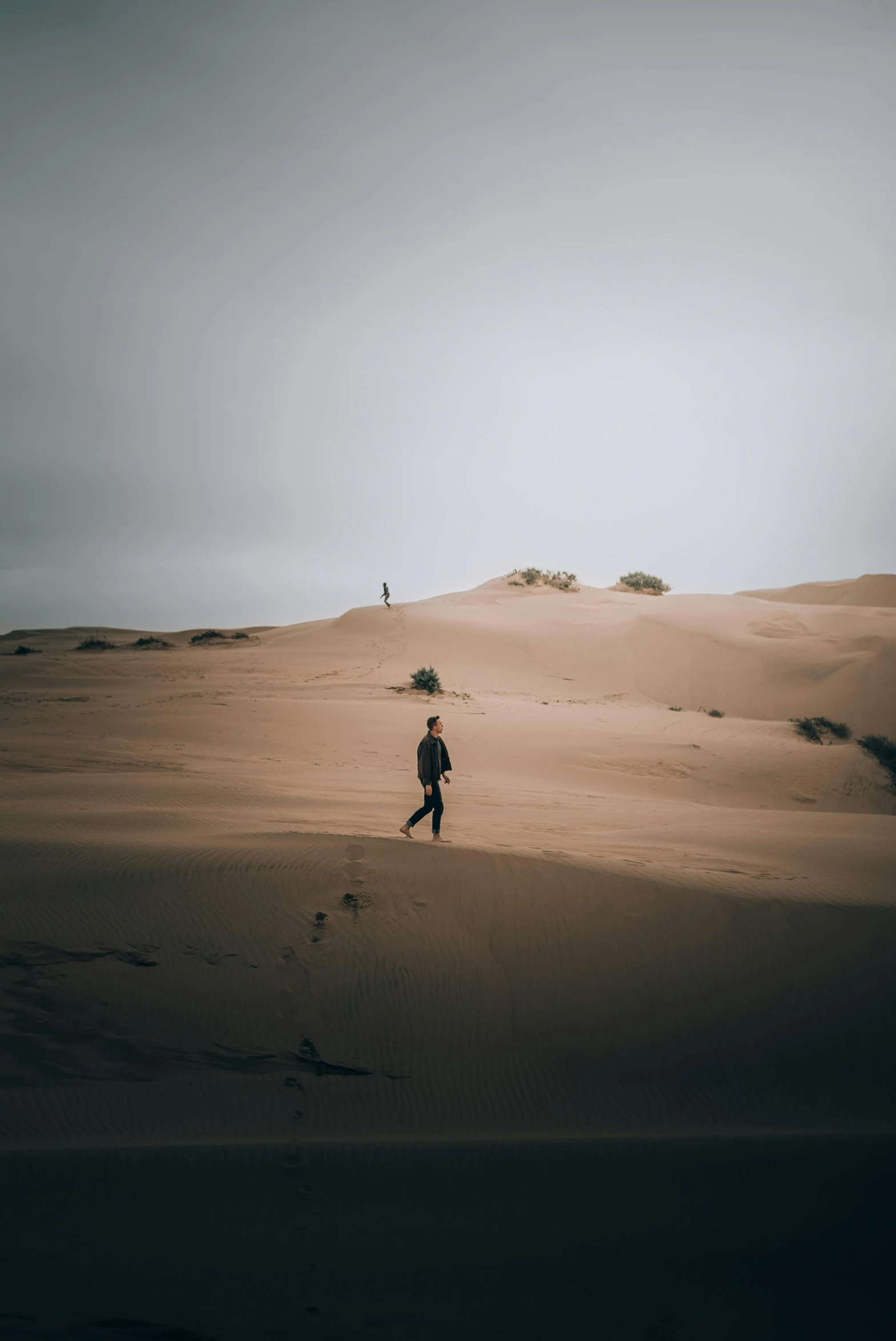 a lone person walks in the middle of a field