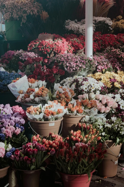 a display in the garden filled with different types of flowers