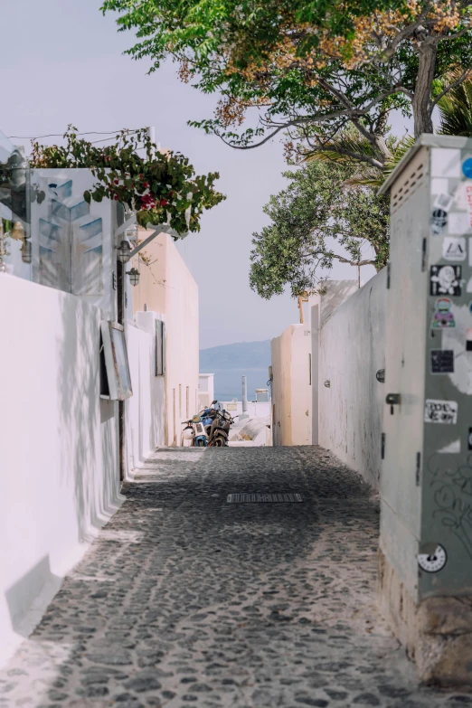 a dirt path with a bicycle on the other side of it