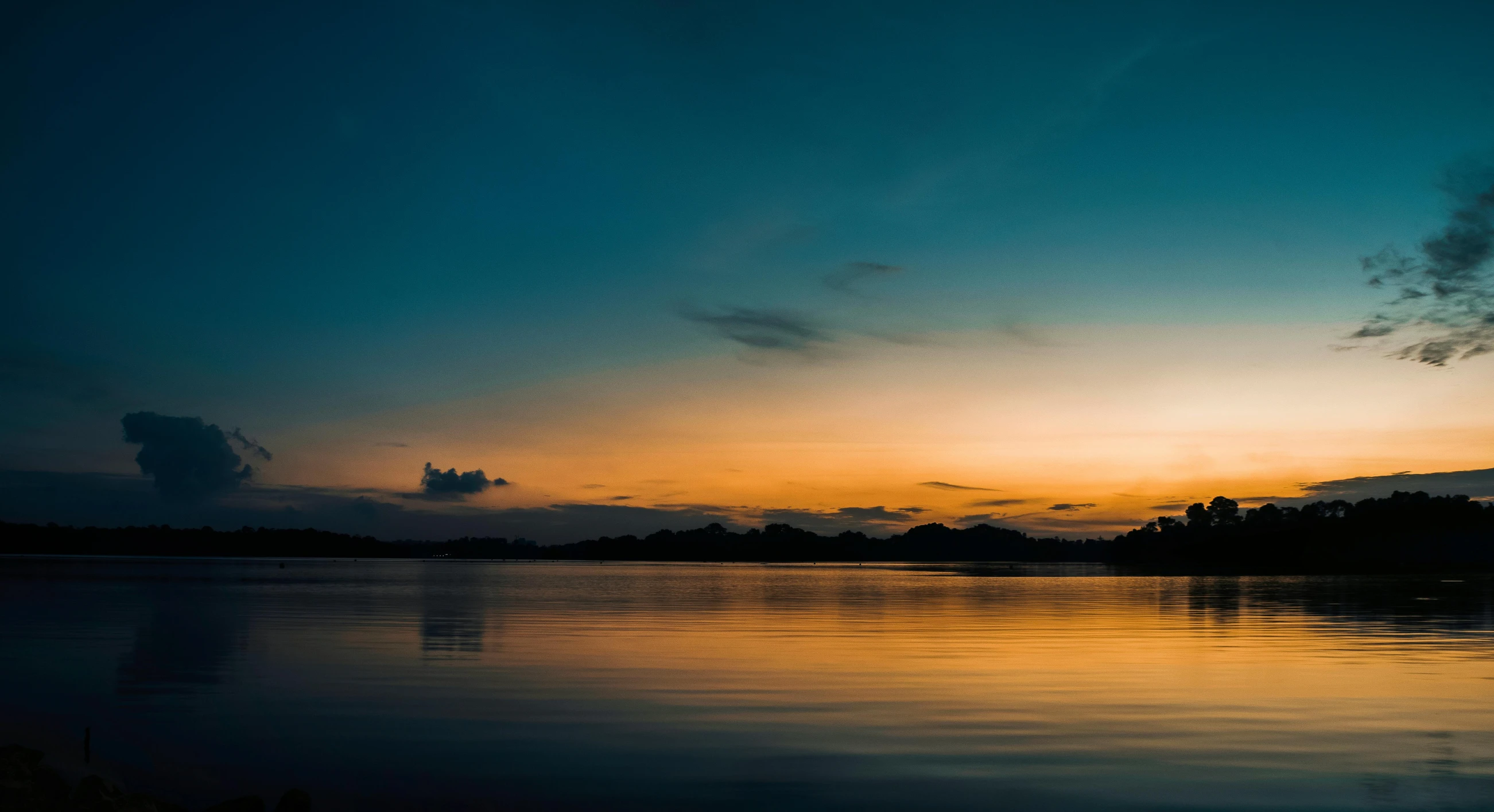 the silhouette of trees in the distance at dusk with a body of water in front