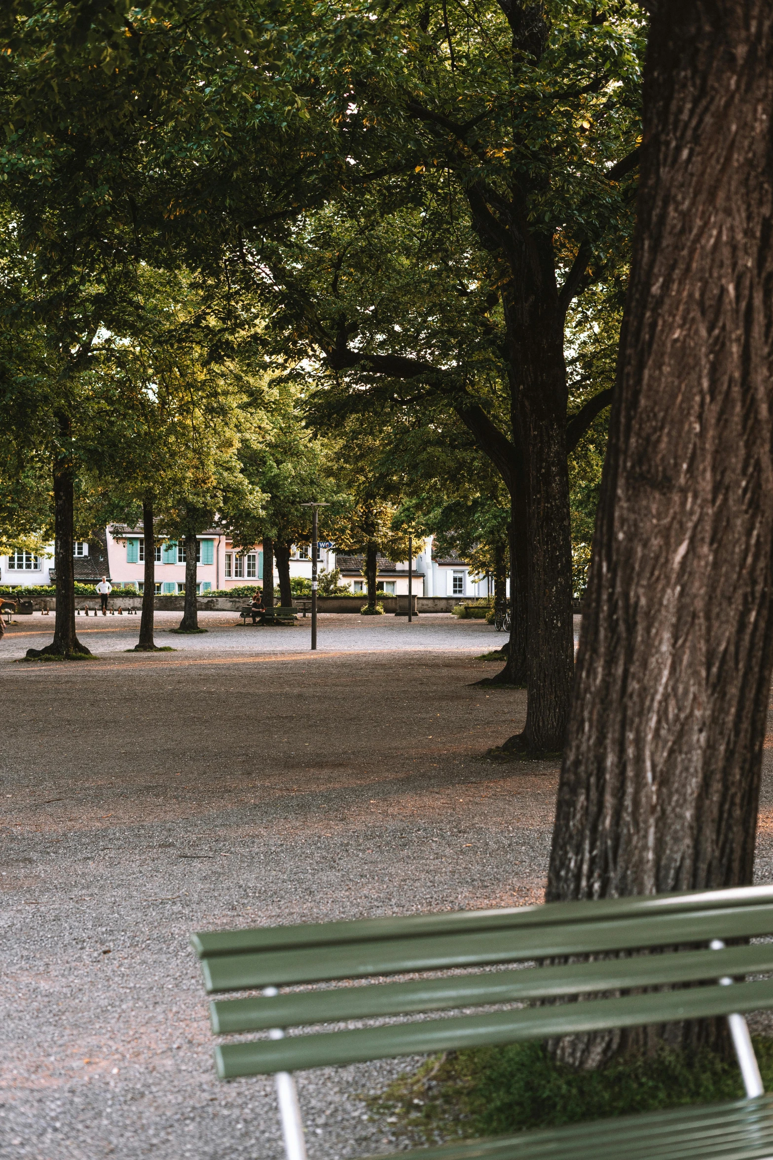 a park bench next to trees, with grass and dirt