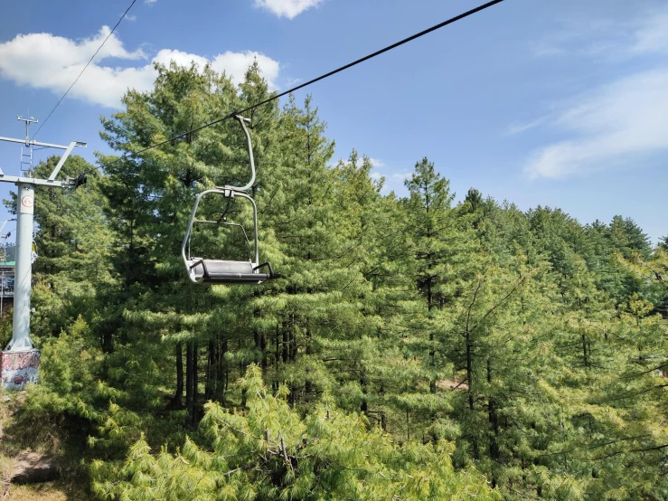 a lift in the air over trees in a forested area