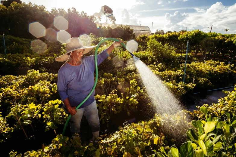 a man spraying water on an area