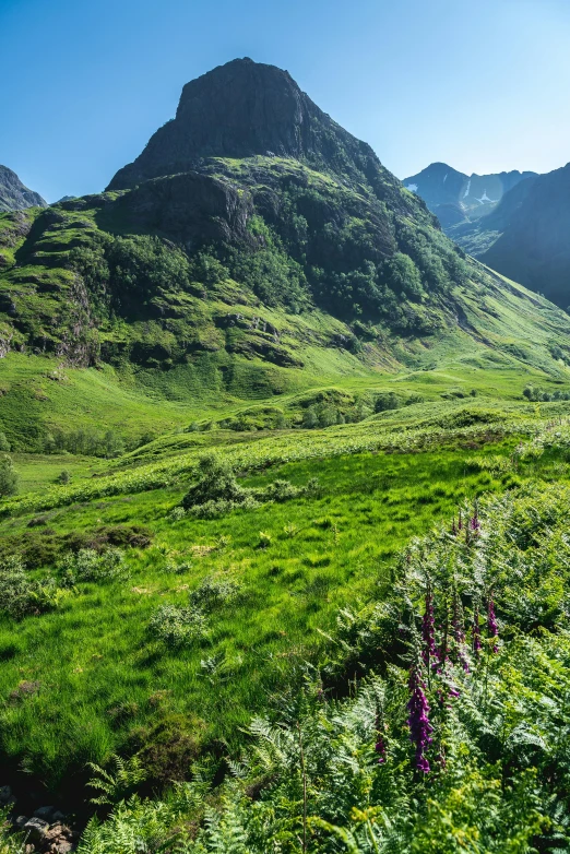 grassy hillside area with mountains in the background