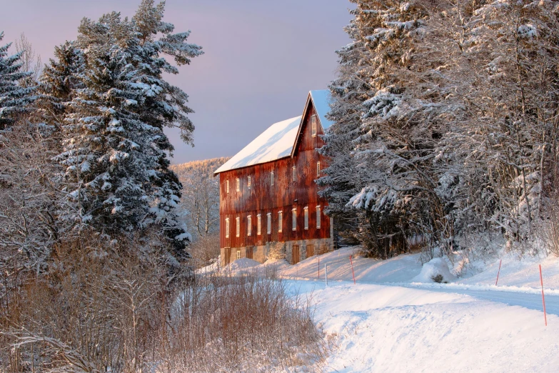snow covered pine trees line the ground in front of a large red house