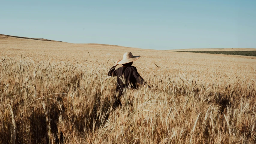 a person wearing a hat in the middle of a field of tall grass