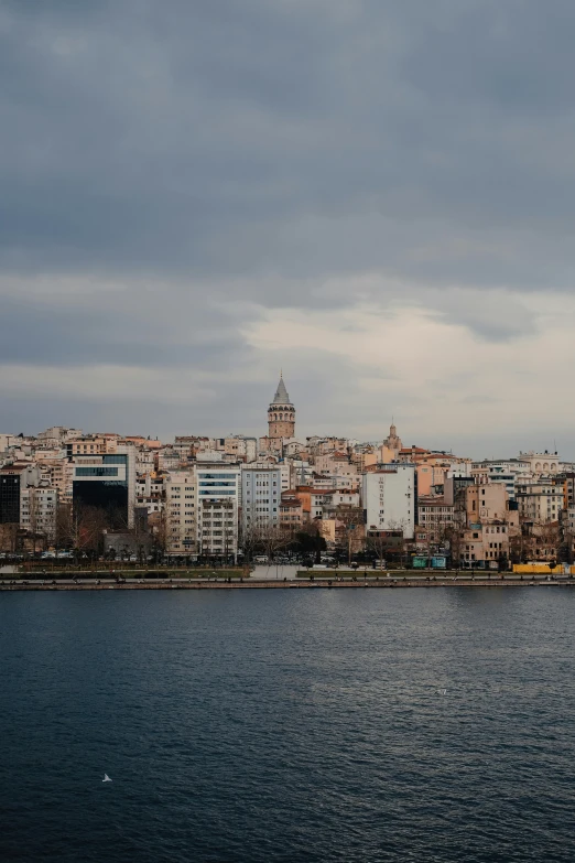 a view of a city is shown from across a river