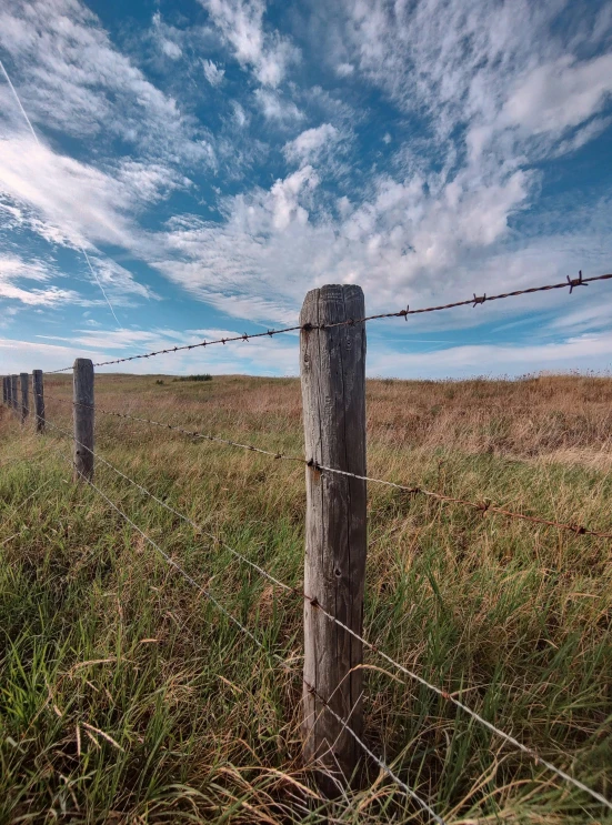 a lone fence in a field with grass