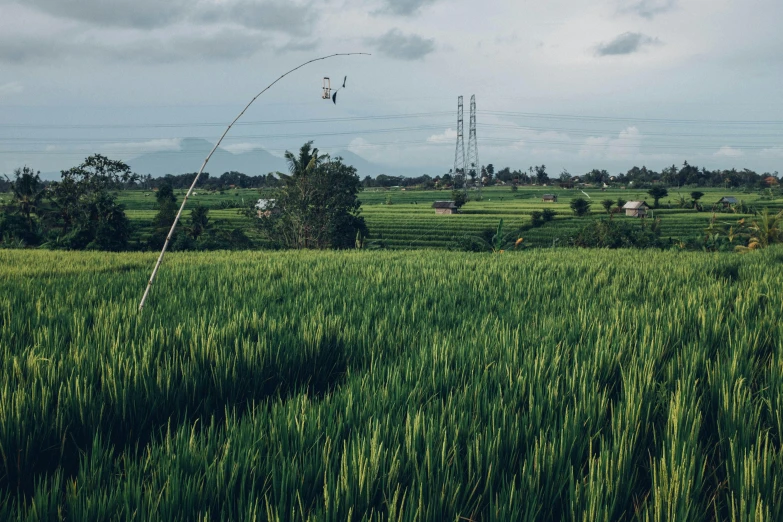 there is a wind turbine standing in the grass