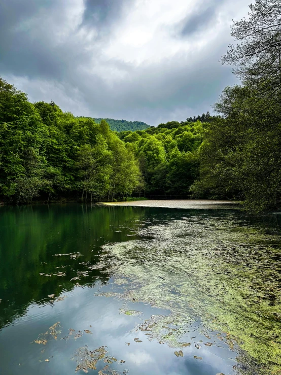 a river running through a green forest under a cloudy sky