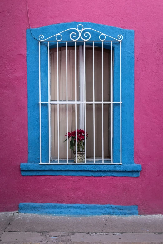 window of a building with bars and a vase full of roses