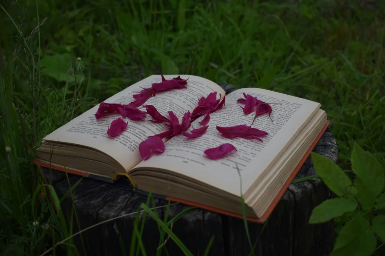 a book in the middle of green grass that has pink petals coming out of it