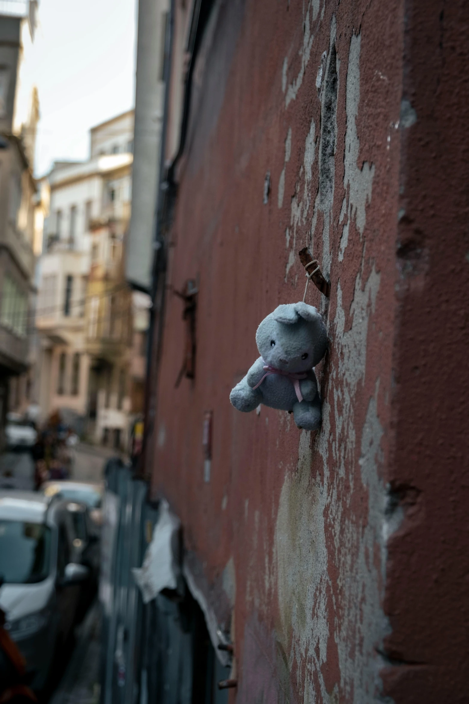 a stuffed animal is peeking out of the wall