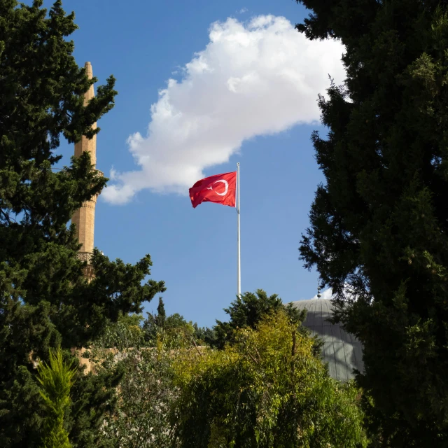 a red flag waving at the wind in a forest