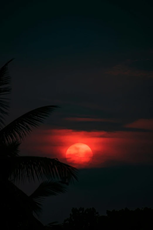 the sun setting on the horizon behind some palm trees