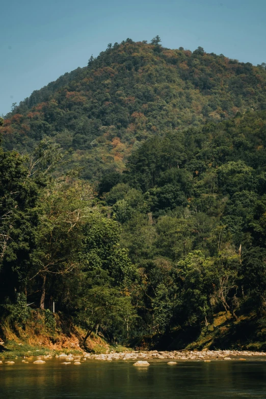 an image of a view of a mountain with trees