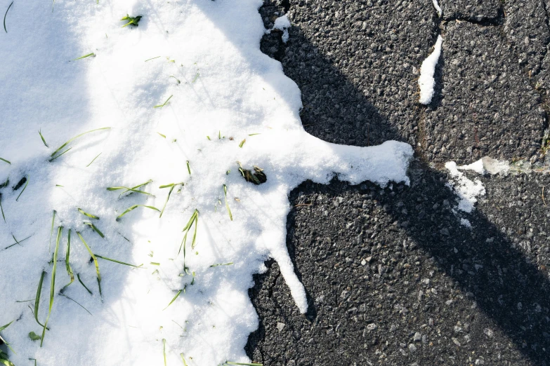 a snow covered pavement with some grass sticking out of it