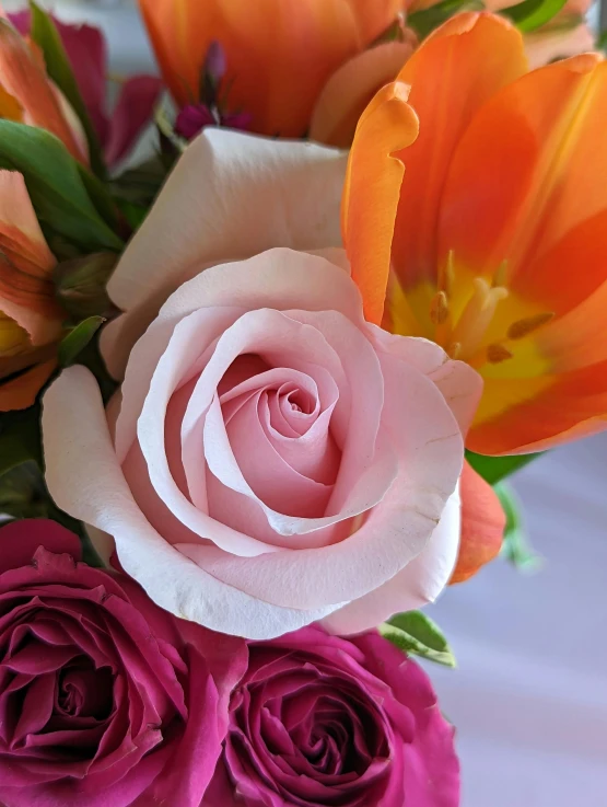 pink and orange flowers with green leaves on the table