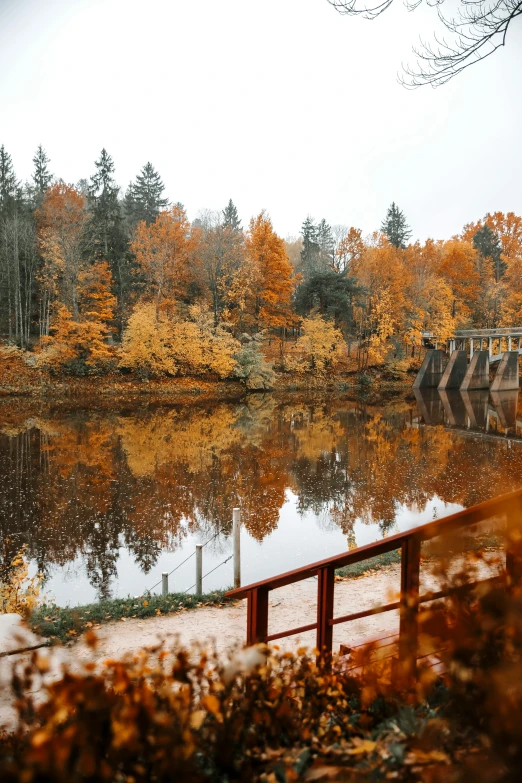 a small bridge spans the width of an autumn lake