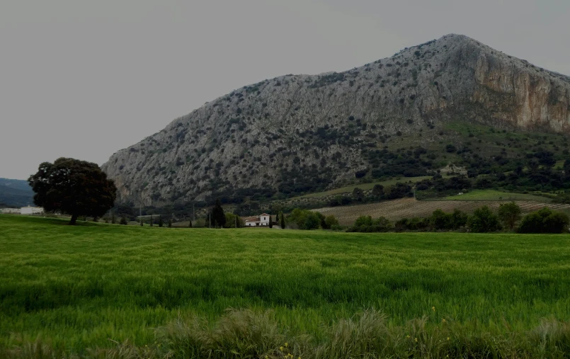 a large green grassy field and mountain covered in clouds