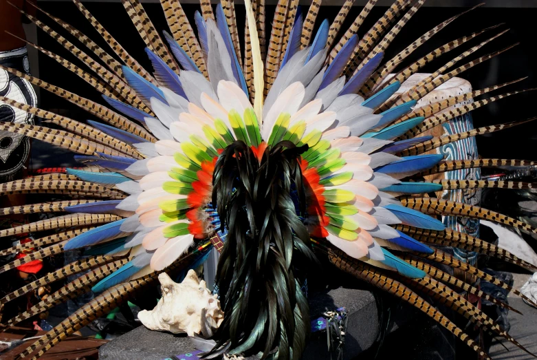 a multicolored peacock headdress made by feathers and other items