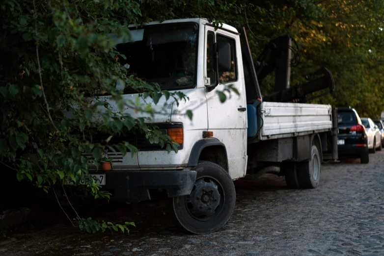 a white truck parked in a lot next to a forest