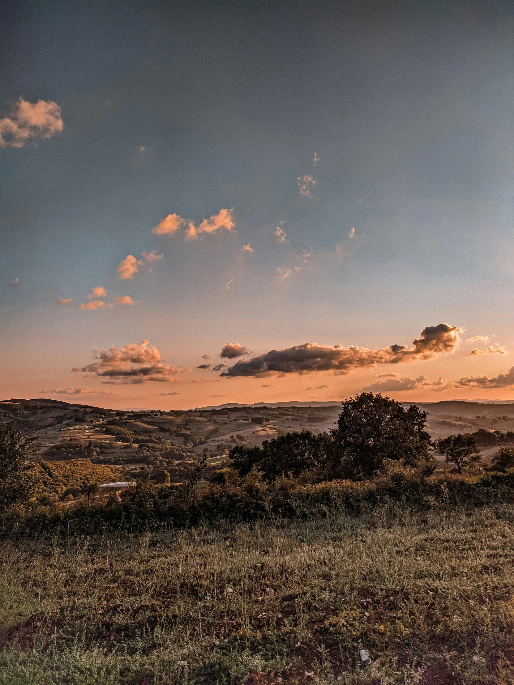 the sun sets in a grassy field next to a lone tree