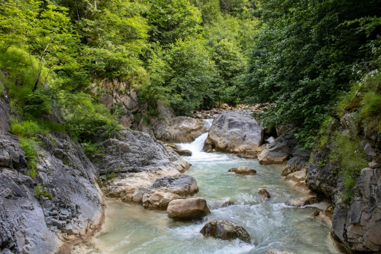 a stream running between two rocks and green trees