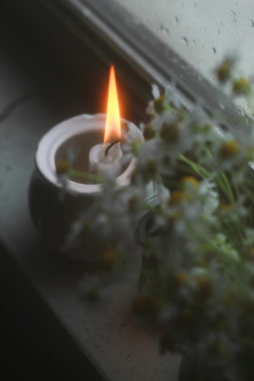 some plants in a pot near a candle