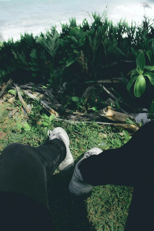 two persons standing on grass near bushes and water