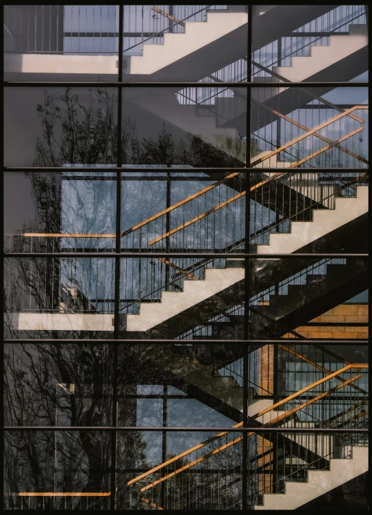 reflection of stairs, tree and sky in glass windows