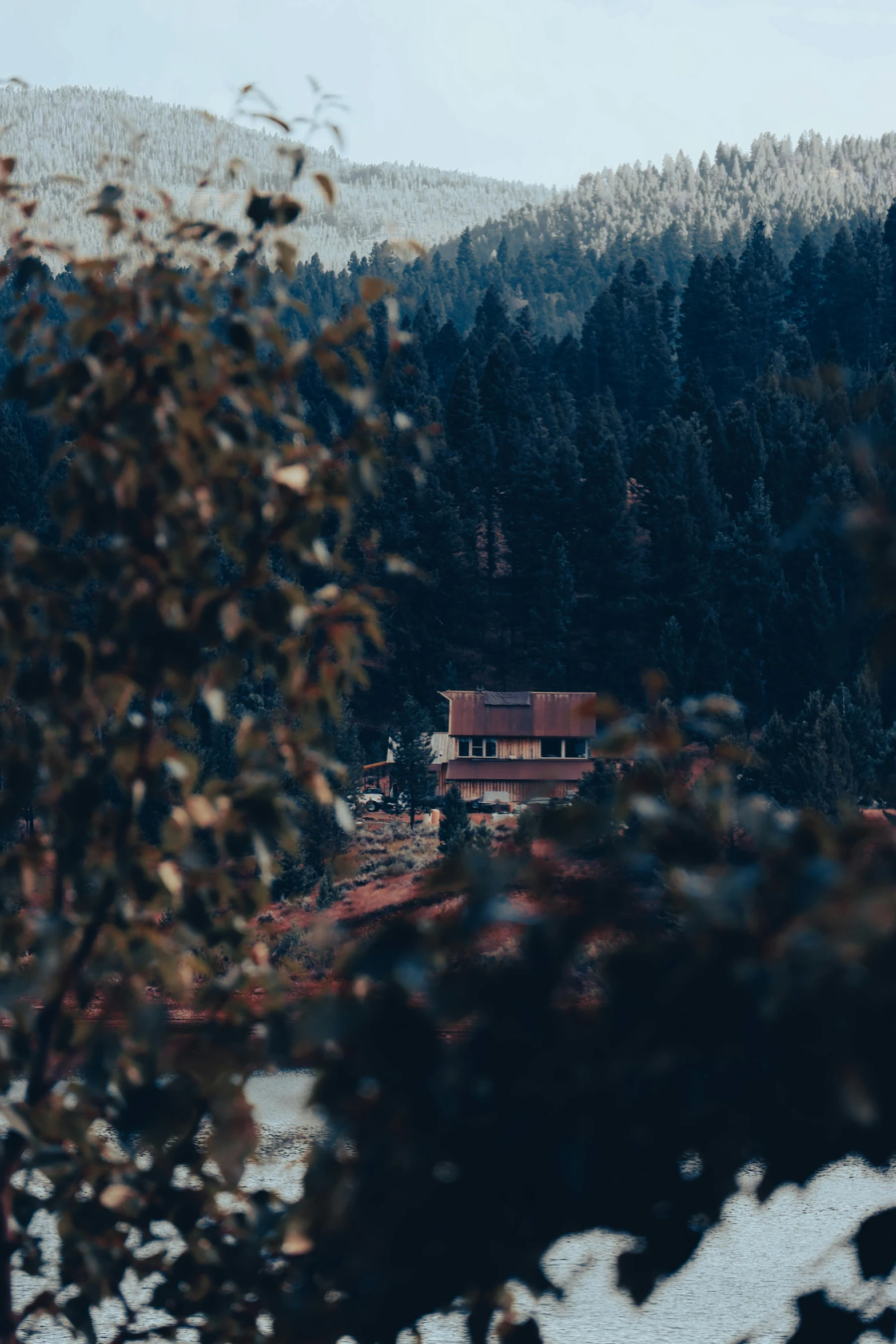 a cabin is standing on a rocky hillside near some trees