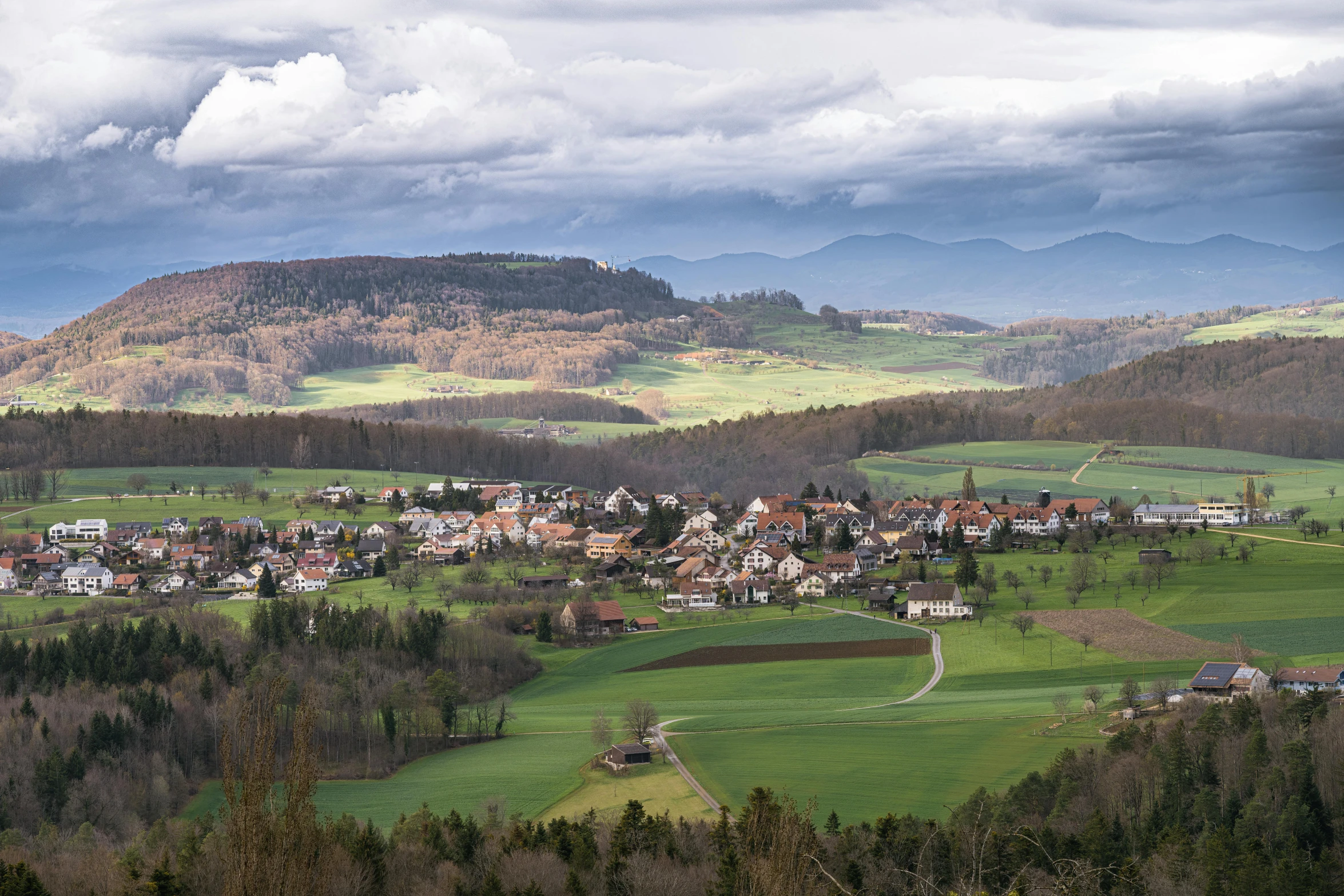 a large town surrounded by a lush green forest