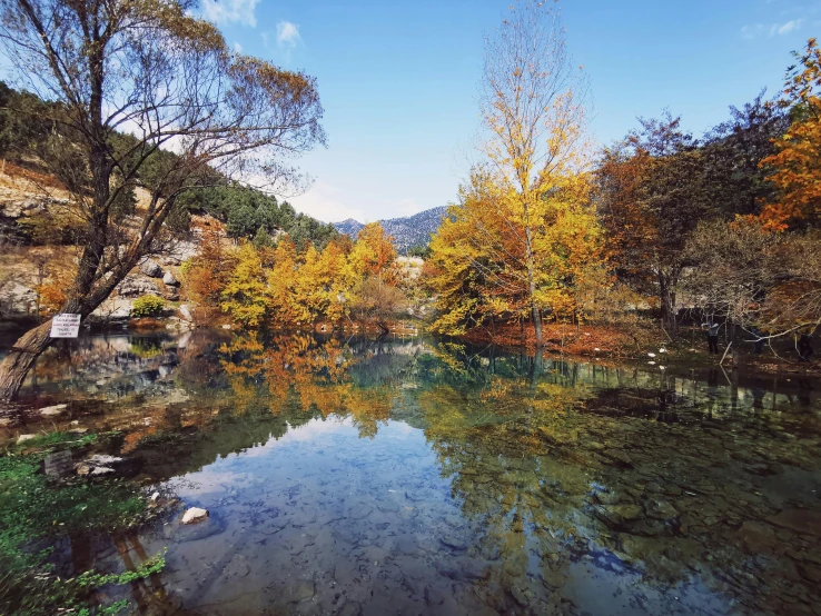 the river in the middle of the woods is reflecting its water colors