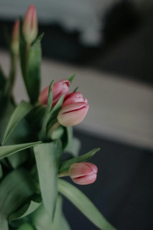 a bunch of small pink flowers sitting in a vase