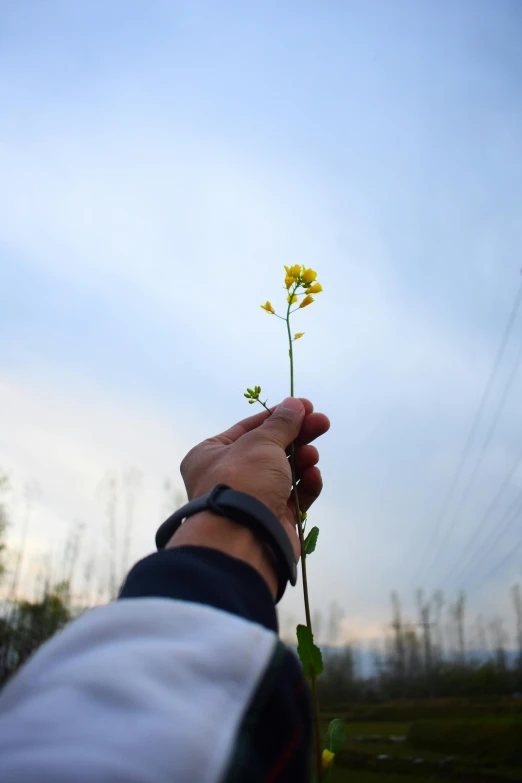 someone holding the flowers while they fly through the sky